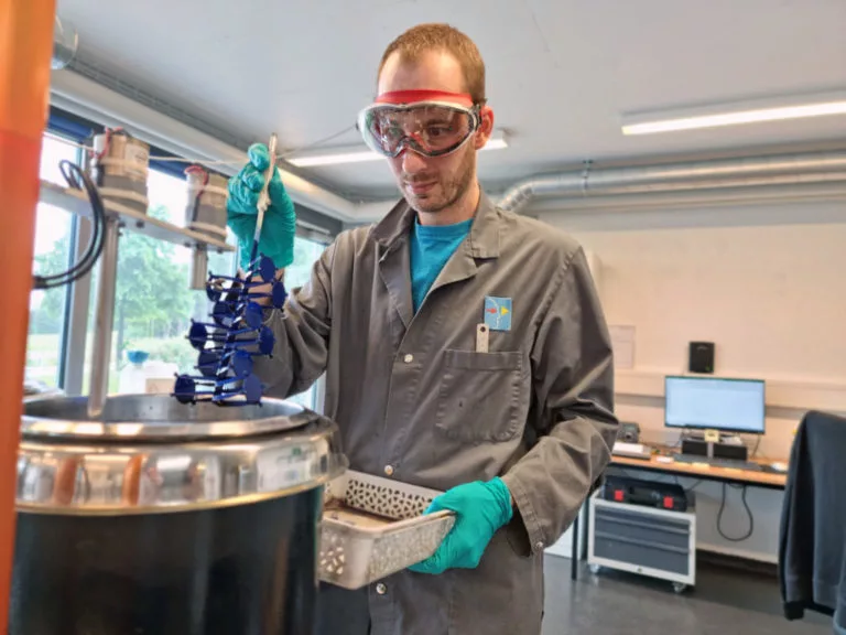 Loris Coloration 768x576